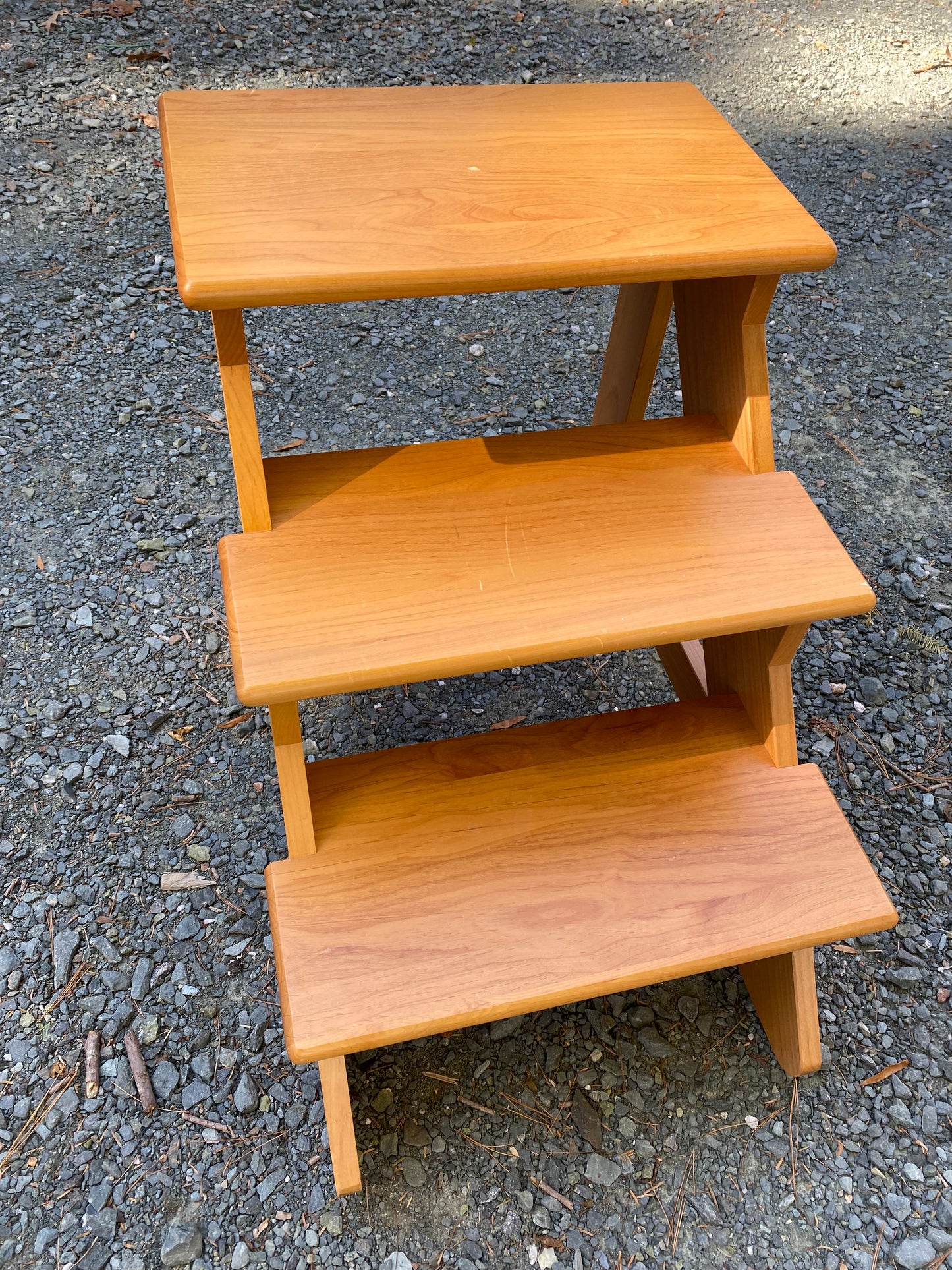 Levenger Brand "Well Read" Library Step Ladder Retired Style